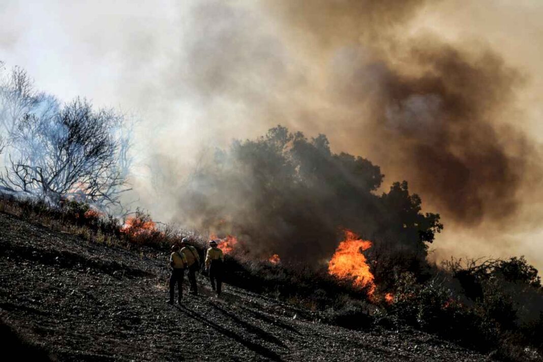 diez-muertos-por-los-incendios-en-california