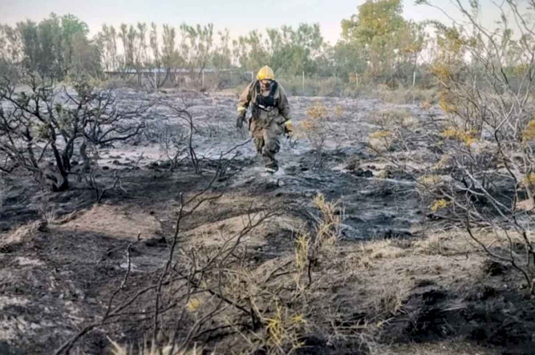 un-rayo-impacto-en-un-loro,-se-prendio-fuego-y-desato-un-incendio-en-puerto-madryn