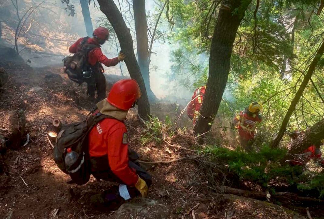 la-patagonia-incendiada